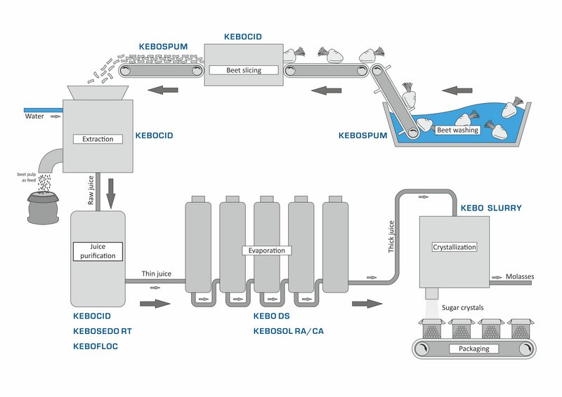 Grafik zeigt Rübezuckerproduktion und welche KEBO Produkte in den einzelnen Produktionsschritten helfen