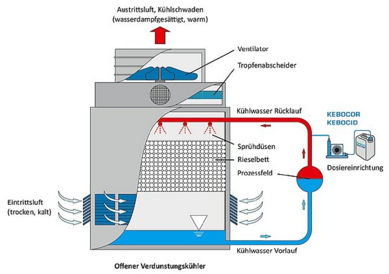 Grafik zeigt Wirkung von KEBOCOR und KEBOCID